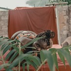 weak2u (Hukubit Nicki) free OnlyFans Leaked Content 

 profile picture