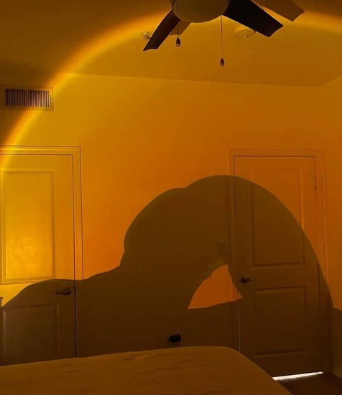 Header of wetwebbstories