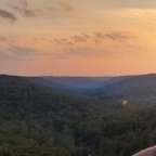 xx20wxbear (XX20wxbear) free OnlyFans Leaks 

 profile picture