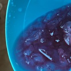 Yaya_toros 05 @yayadiaz Leaks OnlyFans 

 profile picture