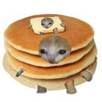 Download yoitsal OnlyFans leaks for free 

 profile picture