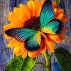 Download youmaykissmyfeet OnlyFans videos and photos for free 

 profile picture