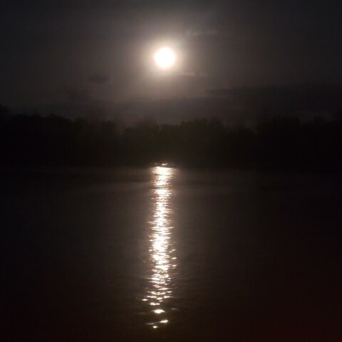 Header of your420god