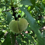 Onlyfans leaked yourbrobeau 

 profile picture