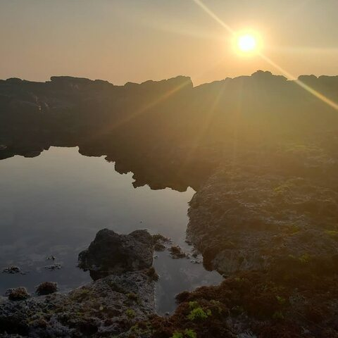 Header of yourstrulybabygirl22