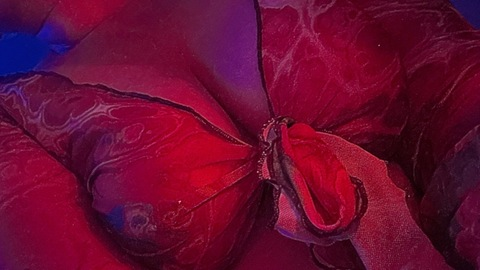 Header of yourvelvetlane