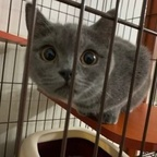 yujia OnlyFans Leaked 

 profile picture