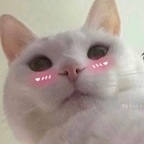 not active ♡ @zaeann Leaks OnlyFans 

 profile picture