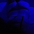 Free access to @zena20 Leaks OnlyFans 

 profile picture