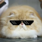 Free access to @zippos Leaked OnlyFans 

 profile picture